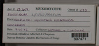 Image Associated With the Occurence